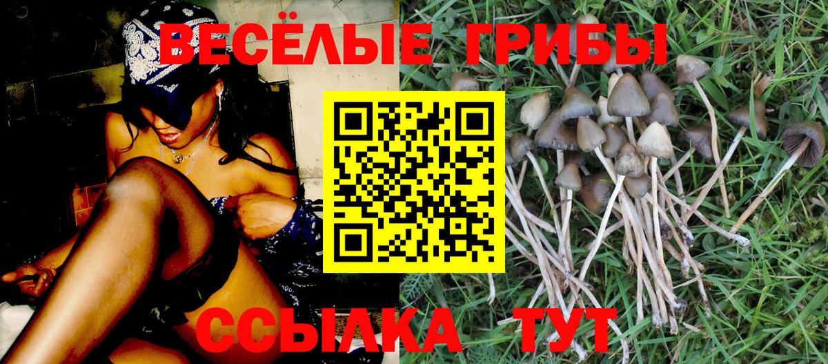 Псилоцибиновые грибы GOLDEN TEACHER Черемхово