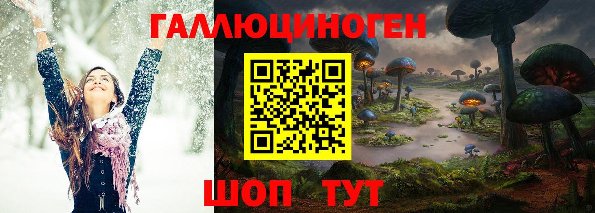 Черемхово  Галлюциногенные грибы ЛСД  Вход с VPN 